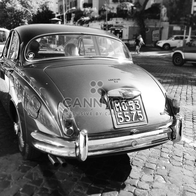 Back view of Jaguar car, black and white - бесплатный image #331677