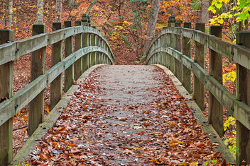 Bridge to Fall - HDR - image #332757 gratis