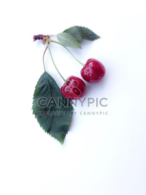 Twin Cherries - image gratuit #332817 