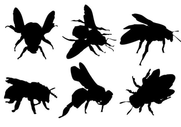 Free Bee Silhouette Vector - Free vector #333487