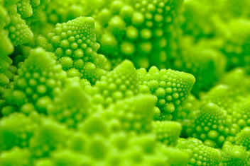 Macro Romanesco Broccoli - image gratuit #336407 