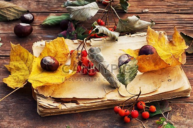Old book with autumn leaf and berries on wooden table - image gratuit #342467 