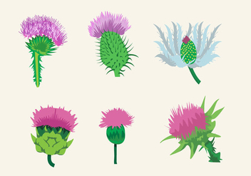 Beautiful Thistle - Free vector #344957