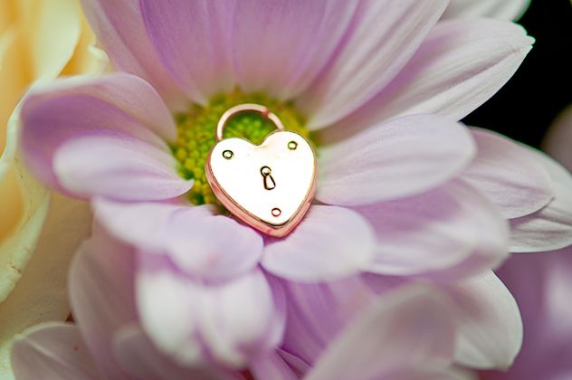 Gold lock in shape of heart in flower - Free image #345107