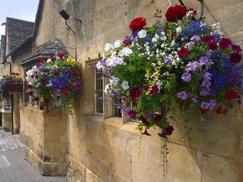 Flowers on facade of house in Chipping Campden - Free image #346217