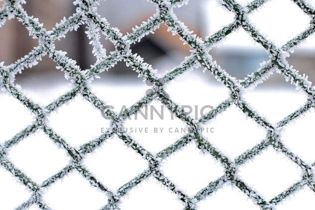 Frozen snow on metal fence - Free image #347717