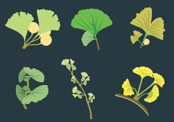 Ginko Leaves Vector - Free vector #350327