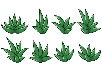 Free Maguey Vector - Free vector #368717