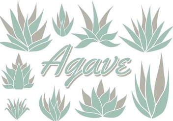 Free Maguey Vector - Free vector #368807