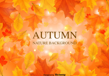 Fall Background Vector Leaves - vector gratuit #369517 