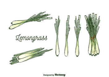 Free Lemongrass Vector - Kostenloses vector #375617