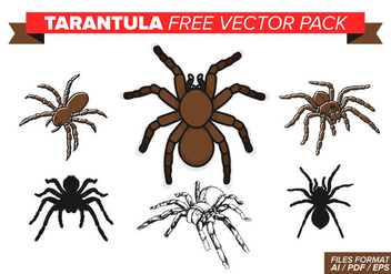Tarantula Free Vector Pack - vector #377797 gratis