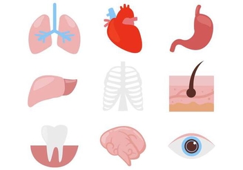 Free Human Organ Body Parts Icons Vector - vector gratuit #380317 