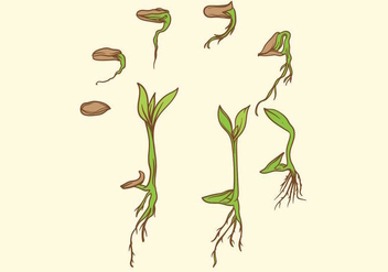 Grow Up Plant Set - vector #380657 gratis