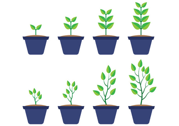 Grow Up Plant Vector - Free vector #380967