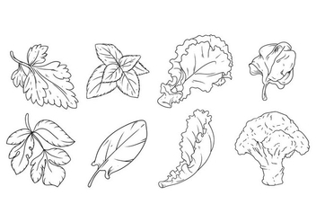 Free Hand Drawing Vegetables Vector - Free vector #381307