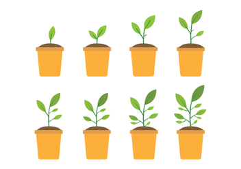 Free Grow Up Plant Icons - vector gratuit #381687 