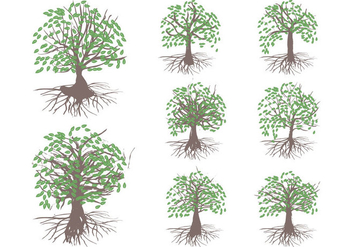 Free Celtic Tree Vector - Kostenloses vector #381887