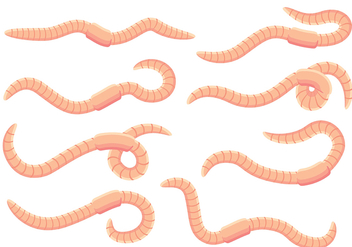 Earthworm Vectors - бесплатный vector #384077
