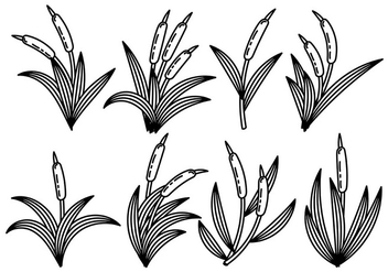 Black and White Cattails Icon Vector - бесплатный vector #384327