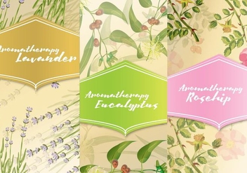 Three Aromatherapy Cards - vector #384477 gratis