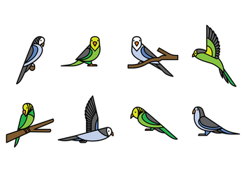 Budgie Vector Icons - Free vector #385817