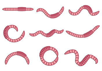 Free Earthworm Animal Vector - Kostenloses vector #390597