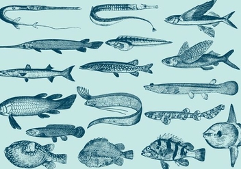 Vintage Stranger Fishes - бесплатный vector #391057