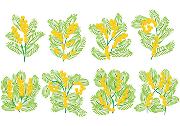 Mimosa Icons - Free vector #392217