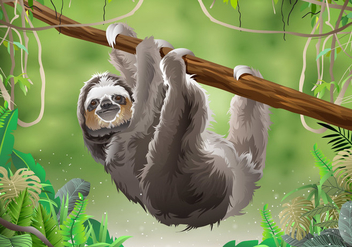 Sloth In Jungle Rainforest - бесплатный vector #396187