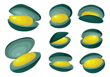 Free Mussel Vector - Free vector #396217