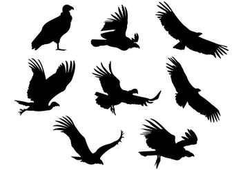 Silhouette Vector Of Condor Bird - vector gratuit #398447 