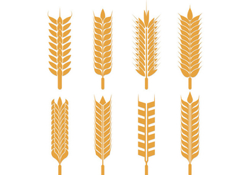 Vector Pack Of Oats - Free vector #398887