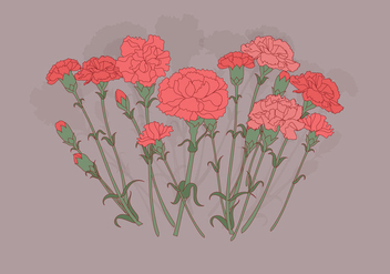 Carnation Flowers Vector - бесплатный vector #399437