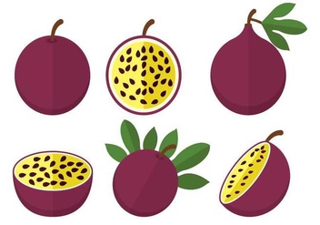 Passion fruit vector - Free vector #399897