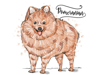 Free Pomeranian Background - Kostenloses vector #402797
