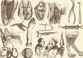 Sepia Anatomy And Health Care Illustrations - бесплатный vector #405017