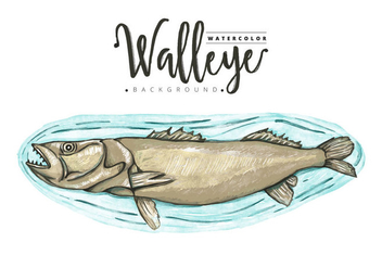 Free Walleye Background - vector gratuit #405927 