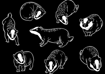 Free Honey Badger Icons Vector - Free vector #405997