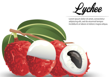 Tropical Fruit Lychee - бесплатный vector #406507
