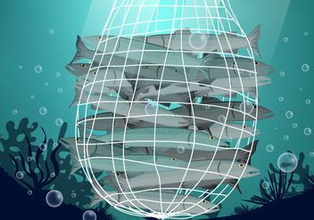 Fish Trapped in Net Vector - Free vector #406557