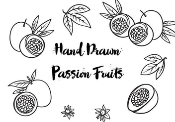 Free Hand Drawn Passion Fruits Vector - vector gratuit #406727 