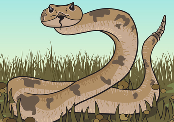 Brown Rattlesnake Looking For Prey Illustration - Free vector #407447