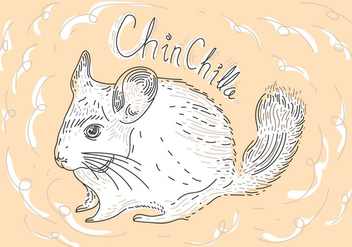 Free Chinchilla Vector Illustration - бесплатный vector #408657