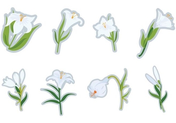 Free White Easter Lilies Vector - vector gratuit #412247 
