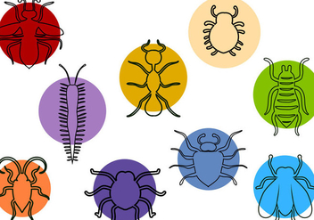 Free Insect Vectors - Free vector #413797