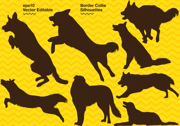 Border Collie Silhouette - Free vector #417627