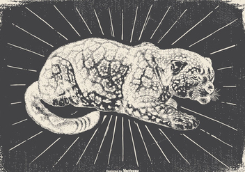 Vintage Leopard Illustration - бесплатный vector #418107