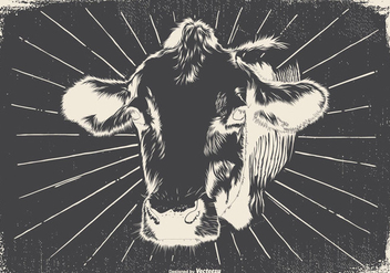 Vintage Cow Illustration - vector gratuit #418117 