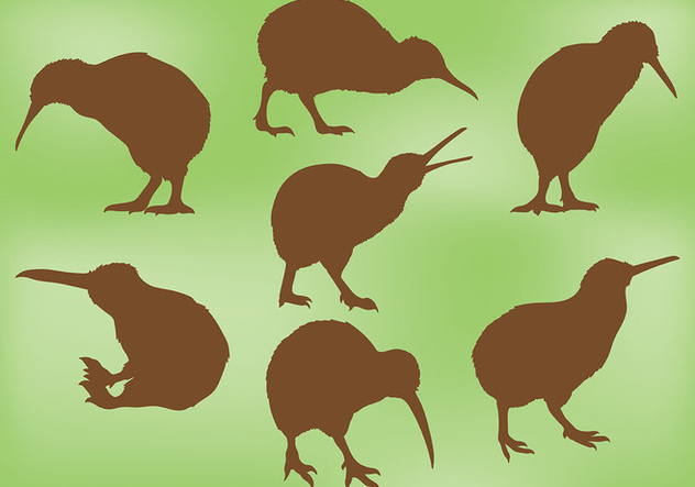 Free Kiwi Bird Icons Vector - vector gratuit #418657 